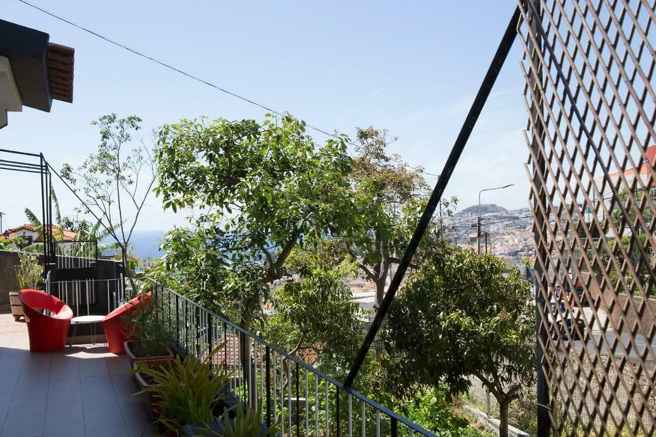 Guest house Rochinha Cozy Home Funchal  Portugal