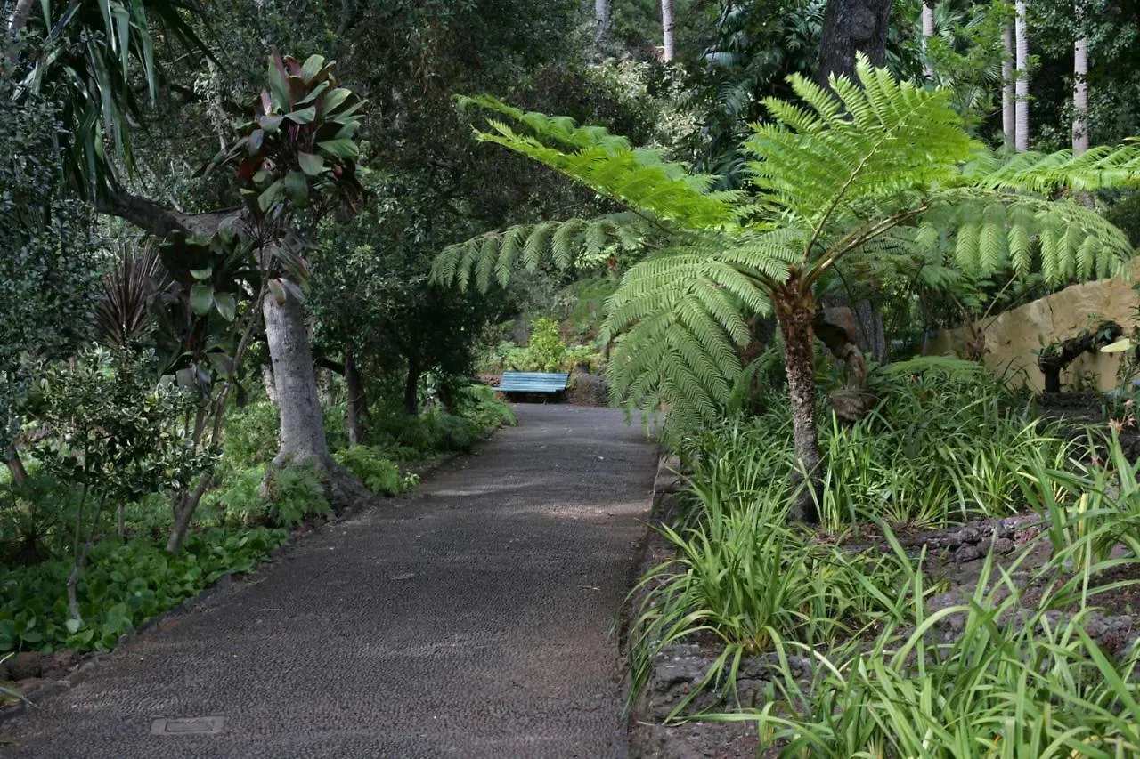 Rochinha Cozy Home Funchal  Guest house Funchal (Madeira)